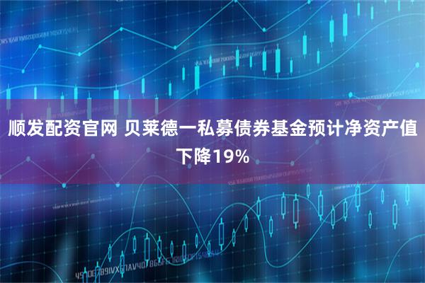 顺发配资官网 贝莱德一私募债券基金预计净资产值下降19%