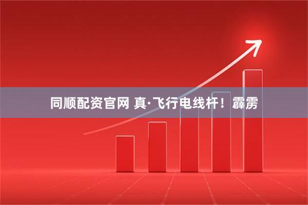 同顺配资官网 真·飞行电线杆！霹雳