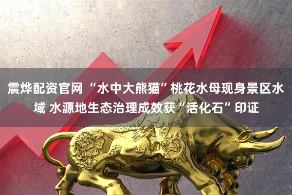 震烨配资官网 “水中大熊猫”桃花水母现身景区水域 水源地生态治理成效获“活化石”印证
