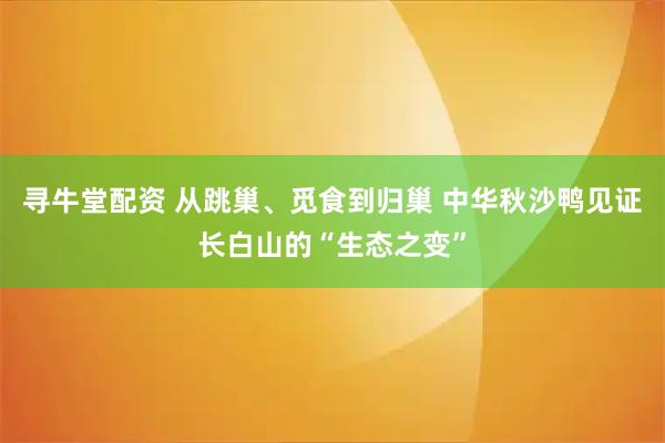 寻牛堂配资 从跳巢、觅食到归巢 中华秋沙鸭见证长白山的“生态之变”