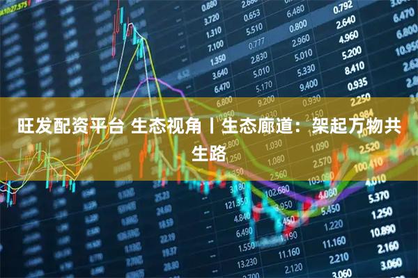 旺发配资平台 生态视角丨生态廊道：架起万物共生路